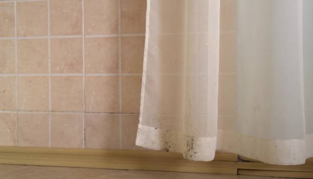 Best Air Quality Testing for Mold Spores  in Crystal, MN