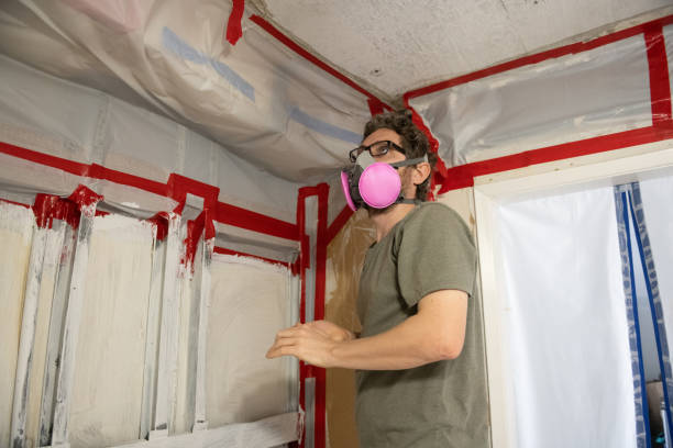 Best Attic Mold Removal  in Crystal, MN